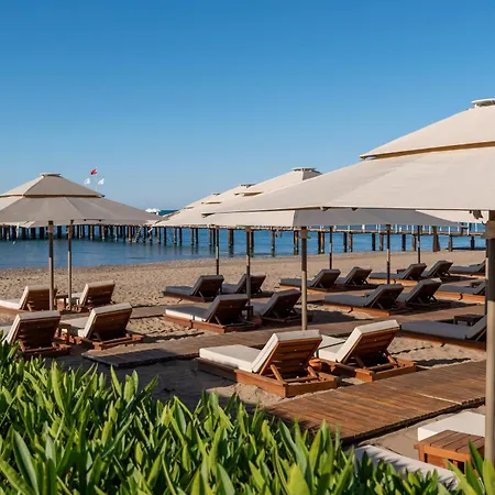 Calista Luxury